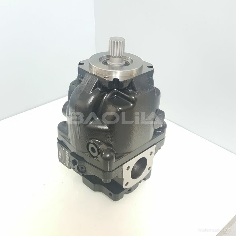 ERR100BLS1620NNN3S1CPA1NNNNNNNNNN hydraulic pump litpic