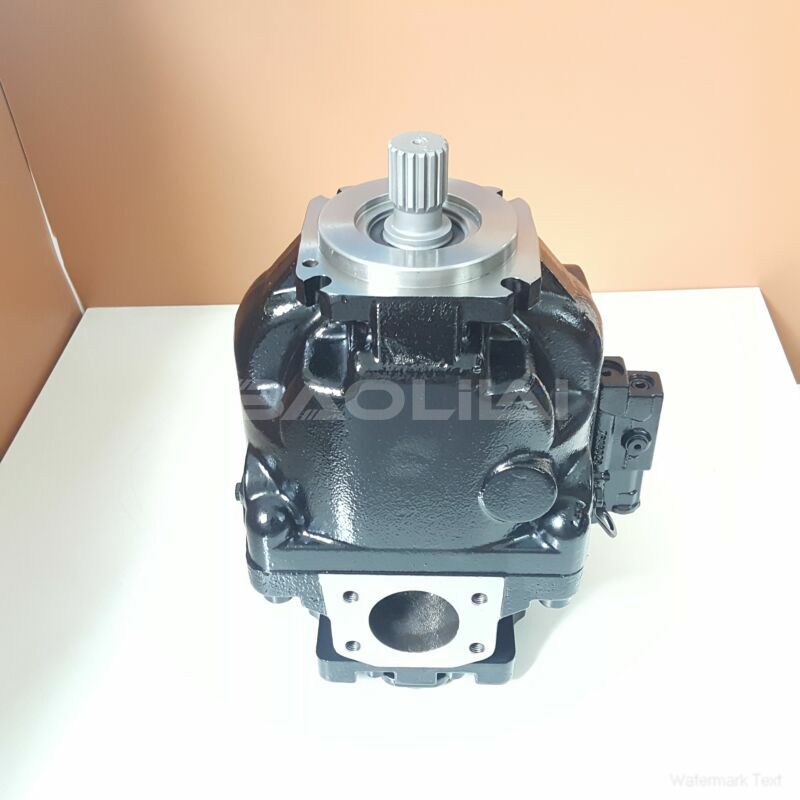 ERL100BBS3020NNN3S4NPA1NNNNNNNNNN hydraulic oil pump litpic