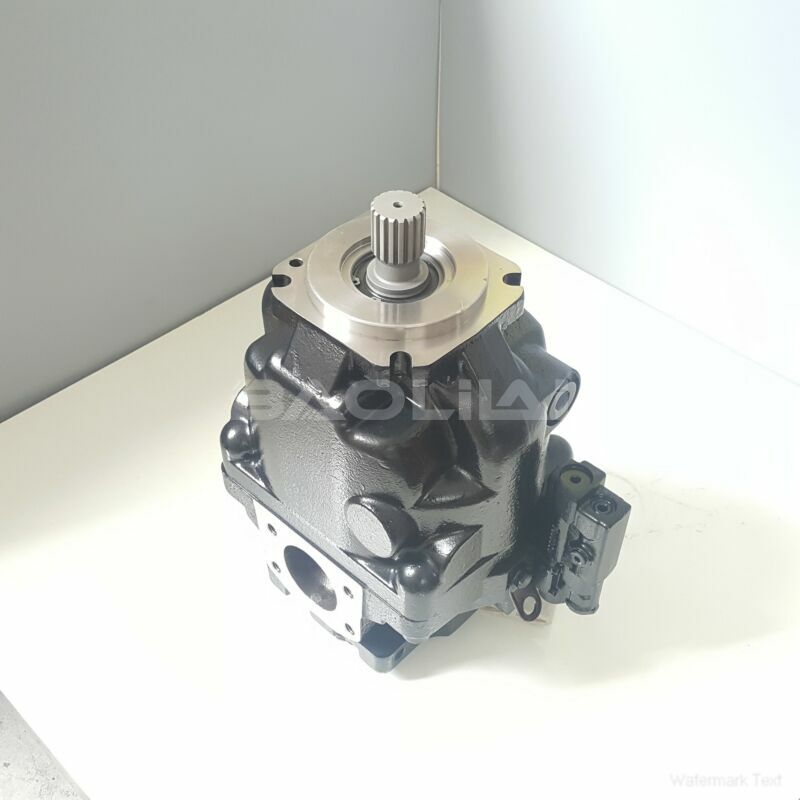 ERR100BLS2620NNN3S1RPA1NAAANNNNNN hydraulic pump litpic