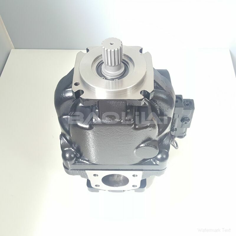 ERL100BLS2520NNN3S4NLA1NNNNNNNNNN hydraulic oil pump litpic