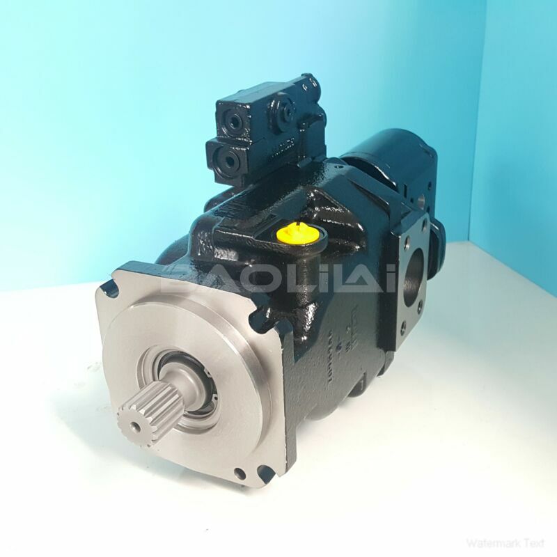 FRR074BBS3120NNN3S1C2A1NNNNNNNNNN hydraulic pump litpic