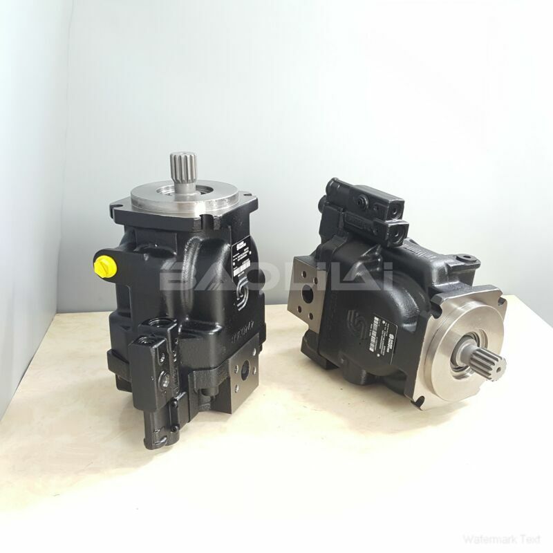 FRL090CLB2520NNN3S1C2A1NNNNNNNNNN high pressure pump litpic