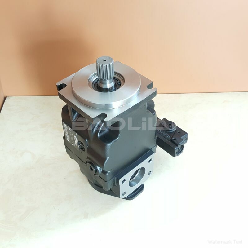 JRLS60BLS2624NNN3S1AEA2NNNNJJJNNN piston pump litpic