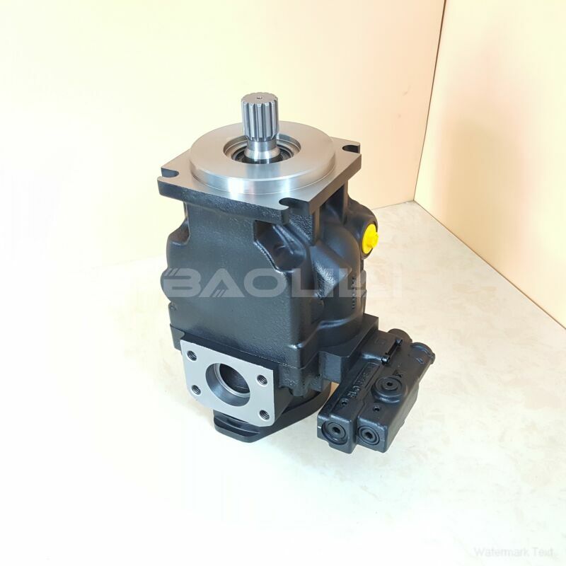 JRRS60BAL2310NNE3S1N9A2NNNNJJJNNN hydraulic pump litpic