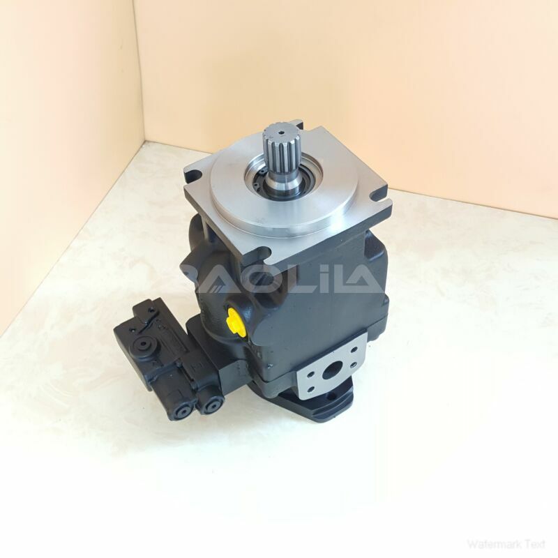 JRLS60BLS1820NNN3C2NEA8NNNNJJJNNN piston pump litpic