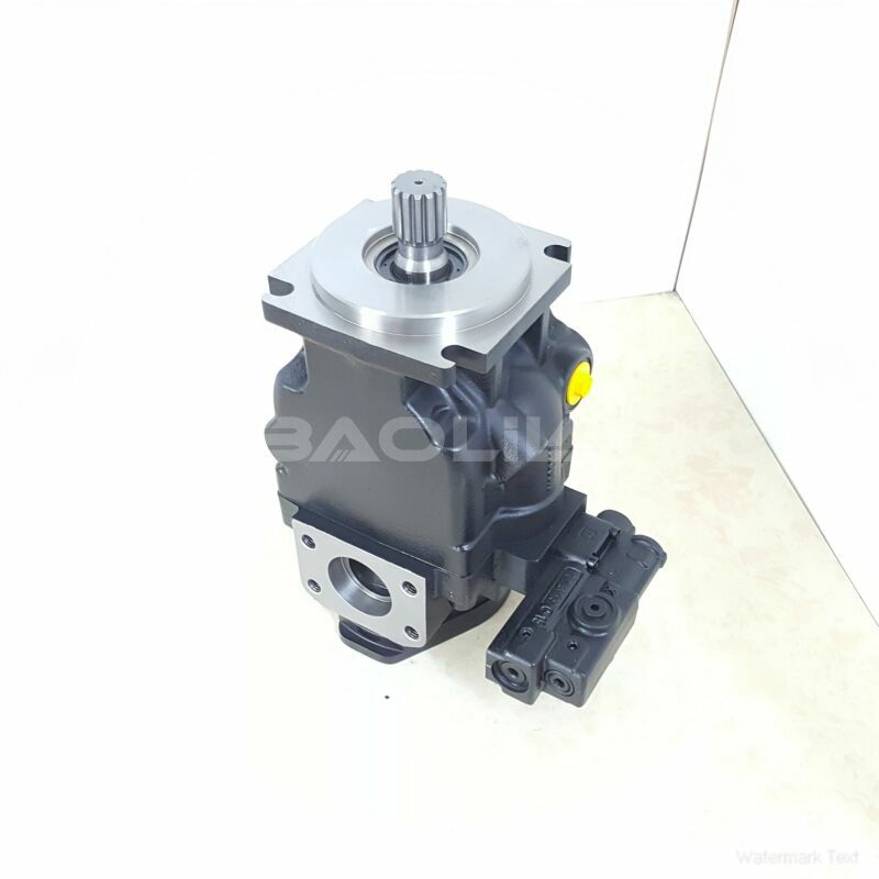 JRRS45BLS1620NNN3C2AEA8NNNNJJJNNN piston pump litpic