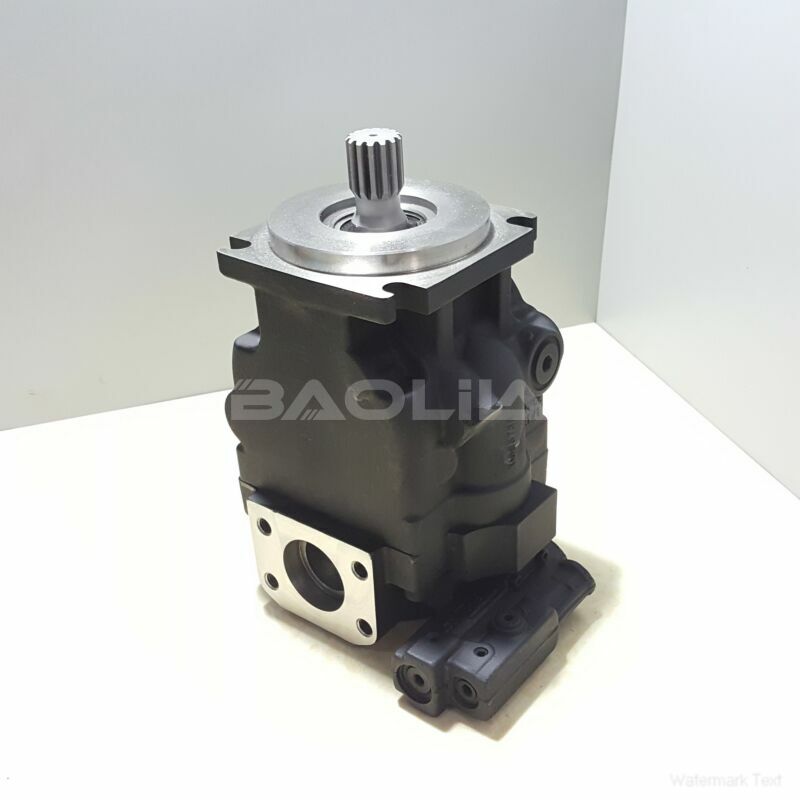 JRLS60BLB2420NNN3S1N9A2NNNNJJJNNN piston pump litpic