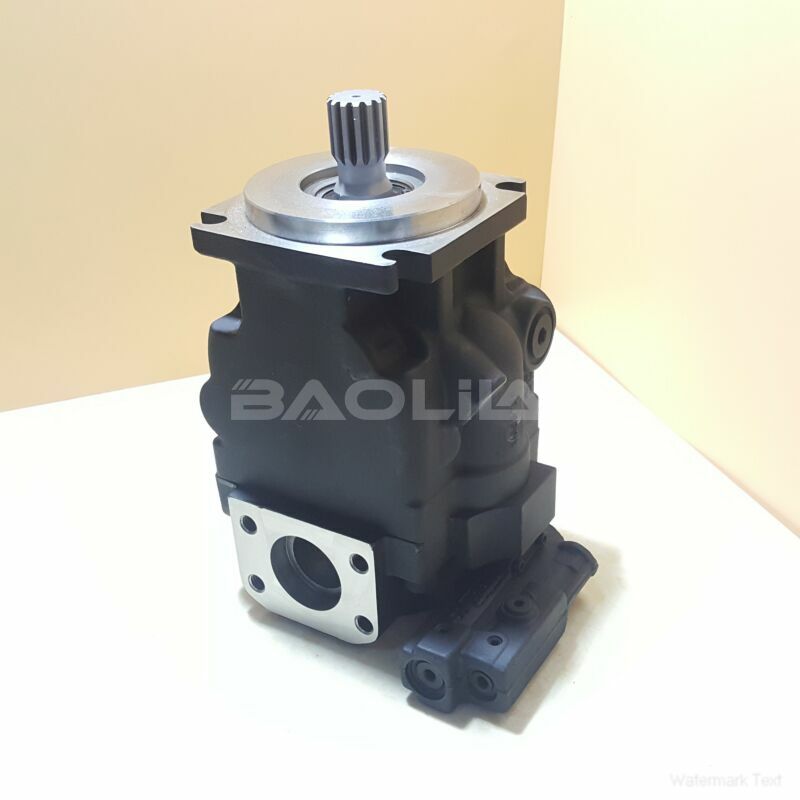 JRRS51BLB1512NNN3S1CEA2NNNNJJJNNN piston pump litpic