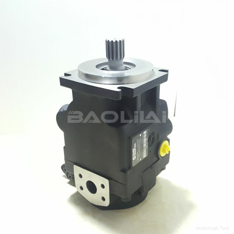 JRRS65CLB2620NNN3C3NEA8NNNNJJJNNN piston pump litpic