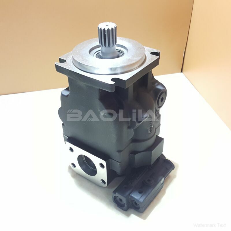 JRRS60BBS3120NNN3S1CXA2NNNNJJJNNN piston pump litpic