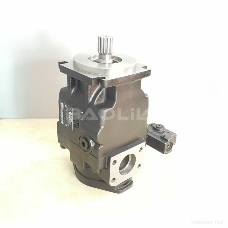 JRRS65CLS2317NNN3C2N9A8NNNNJJJNNN hydraulic pump litpic