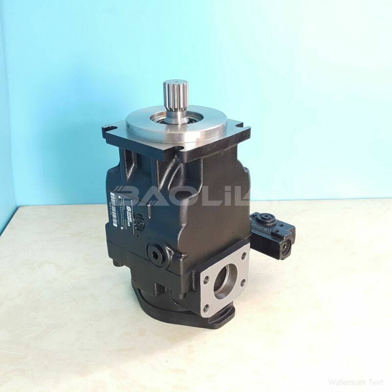 JRRS60BLS2620NNN3S1N9A2NNNNJJJNNN piston pump litpic