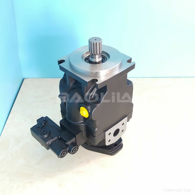 JRRS60BLS2320NNN3C2AEA8NNNNJJJNNN piston pump litpic