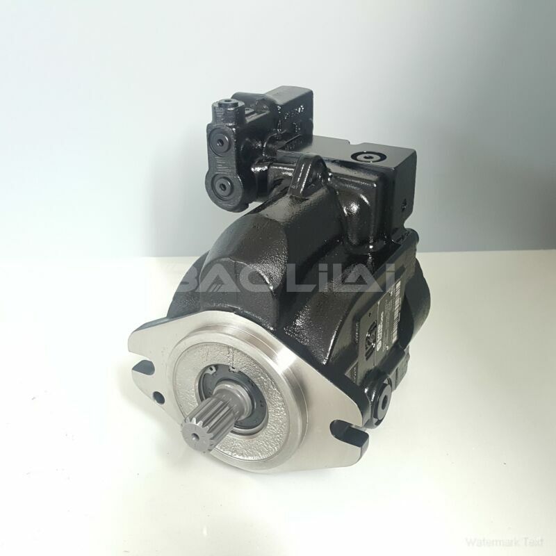 KRR045DLS2120NNN3C2NPA6NKNBNNNNNN hydraulic pump litpic