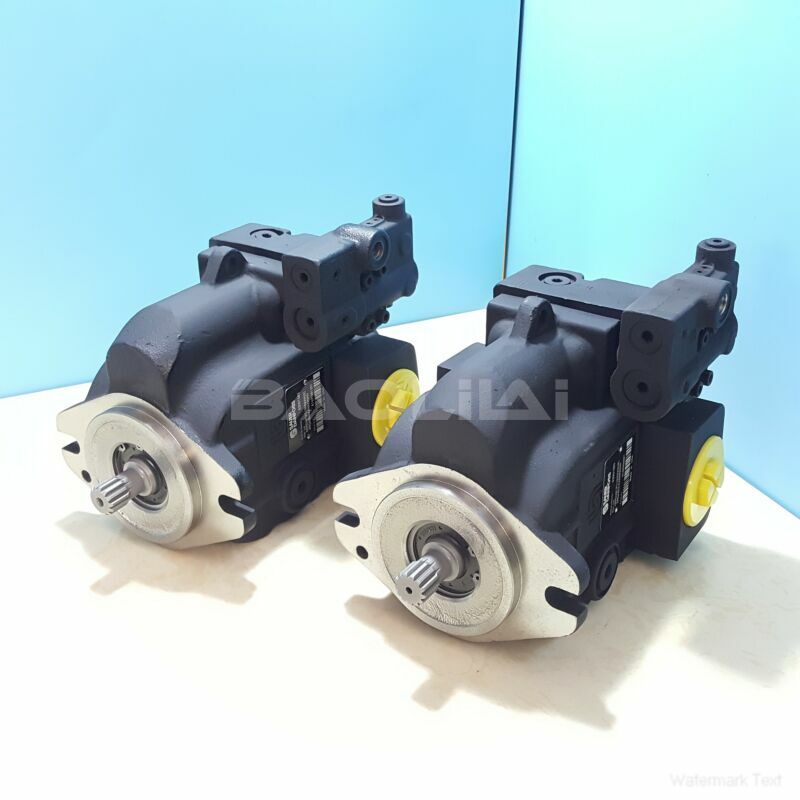 LRR025CLS2420NNN3C2NKA6NKNBNNNNNN hydraulic pump litpic